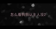 怎么看狗狗认主人没