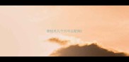德牧犬几个月可以配种