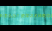 拉布拉多爱叫怎么办资深训犬师教你3步止吠指南