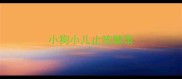 小狗小儿止咳糖浆