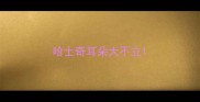 哈士奇耳朵大不立