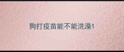 狗打疫苗能不能洗澡