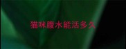 猫咪腹水能活多久