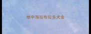 地中海拉布拉多犬舍