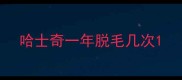 哈士奇一年脱毛几次