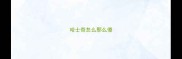 哈士奇怎么那么傻