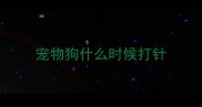 宠物狗什么时候打针