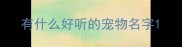 有什么好听的宠物名字