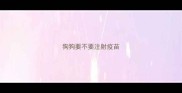 狗狗要不要注射疫苗