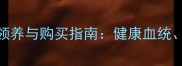 黑龙江嫩江优质拉布拉多犬领养与购买指南健康血统价格区间及家庭饲养全攻略