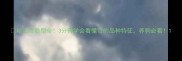 哈士奇脸型全3分钟学会看懂它的品种特征养狗必看