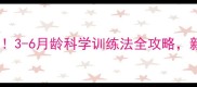 狗狗训练黄金期3-6月龄科学训练法全攻略新手家长必看