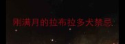 刚满月的拉布拉多犬禁忌