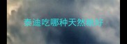 泰迪吃哪种天然粮好