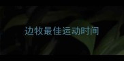 边牧最佳运动时间