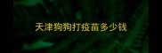 天津狗狗打疫苗多少钱