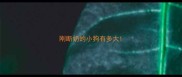刚断奶的小狗有多大