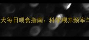 三个月比熊幼犬每日喂食指南科学喂养频率与营养搭配全