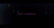 边牧一个月后吃什么