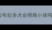 拉布拉多犬会照顾小孩吗
