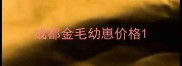 成都金毛幼崽价格