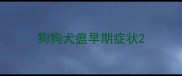 狗狗犬瘟早期症状