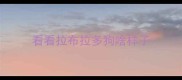 看看拉布拉多狗啥样子