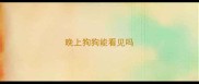 晚上狗狗能看见吗