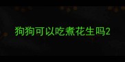 狗狗可以吃煮花生吗