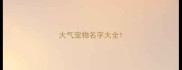 大气宠物名字大全