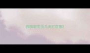 狗狗驱完虫几天打疫苗