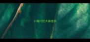 小猫打狂犬病疫苗