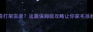 金毛哈士奇打架实录这篇保姆级攻略让你家毛孩秒变好基友