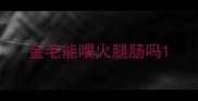 金毛能喂火腿肠吗