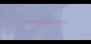 边牧两个月要喂多少东西