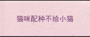 猫咪配种不给小猫