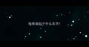 给泰迪起个什么名字
