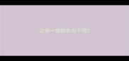 边牧一窝颜色有不同