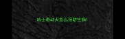 哈士奇幼犬怎么预防生病
