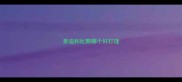 泰迪和比熊哪个好打理
