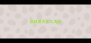 猫咪夏天多久洗澡