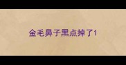 金毛鼻子黑点掉了