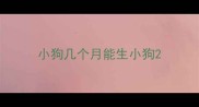 小狗几个月能生小狗