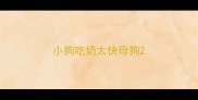 小狗吃奶太快母狗