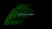 拉布拉多叫声像哭