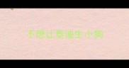 不想让泰迪生小狗