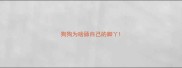 狗狗为啥舔自己的脚丫