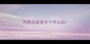 狗狗关家里半个月以后