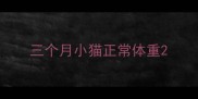 三个月小猫正常体重