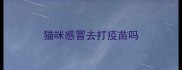 猫咪感冒去打疫苗吗